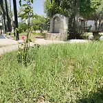 别墅 Country House 索佐波尔