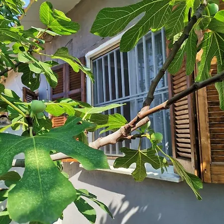 וילה Country House